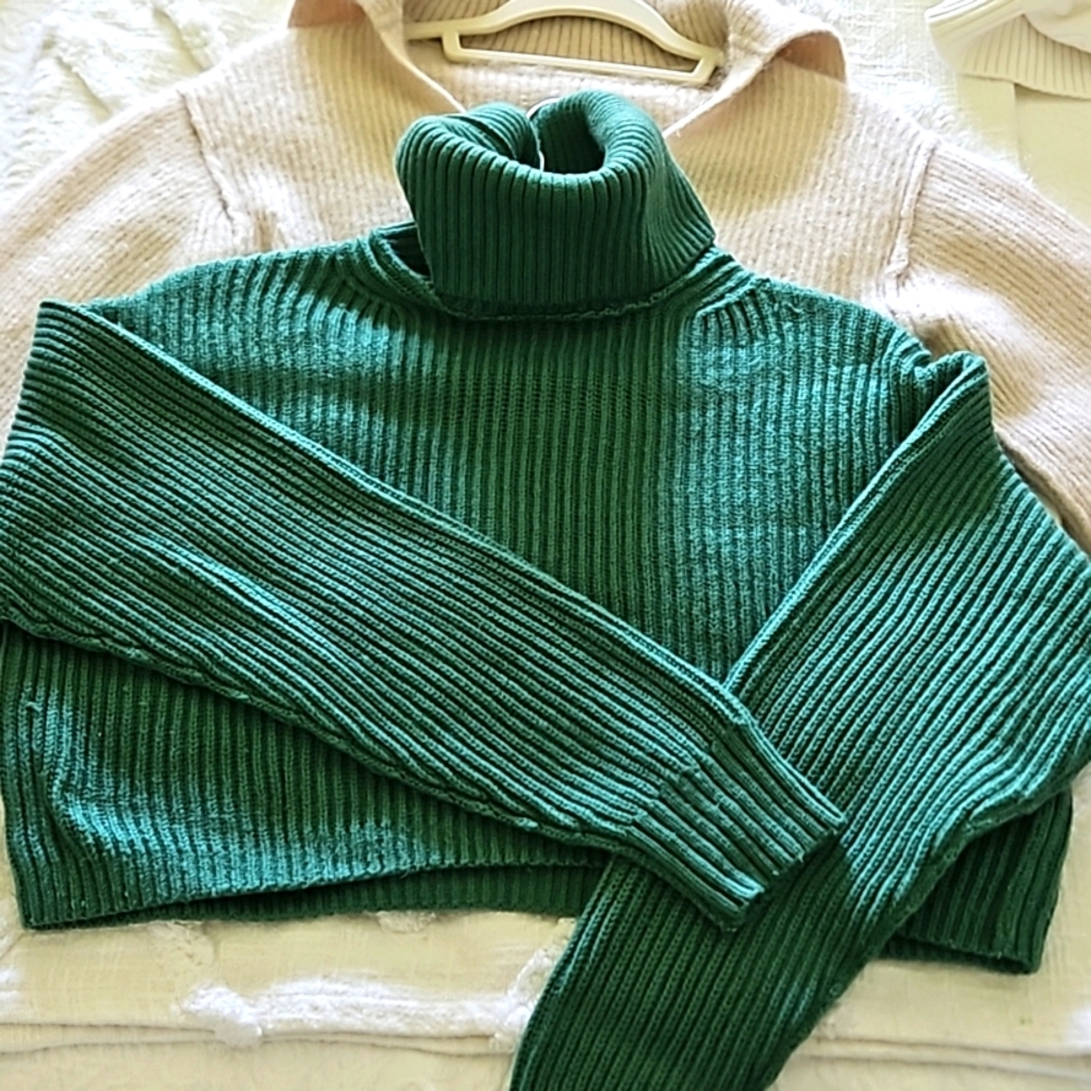 Babaton Guell wool turtleneck sweater